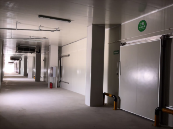 建一個(gè)5000立方香蕉冷藏冷庫大概要多少錢? 建一個(gè)5000立方香蕉冷藏冷庫大概要多少錢?