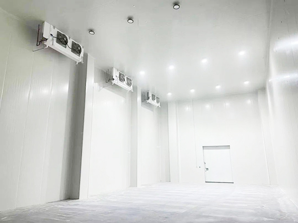 圖示為西郊國際冷庫建造內景圖