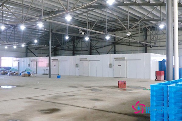 冷庫分間實(shí)拍