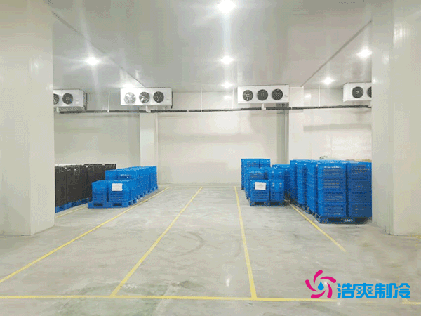 建設一個海鮮低溫冷庫造價多少錢一平方？