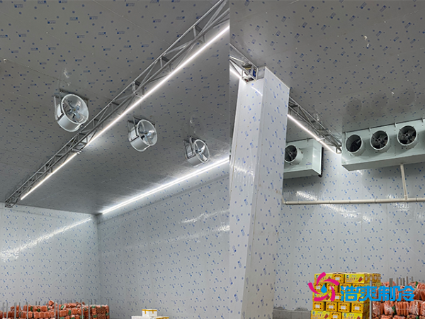 2000平冷庫造價揭秘:這些因素讓你多花幾十萬!