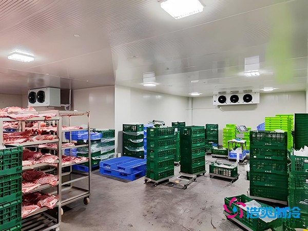 10噸凍肉冷庫造價僅4萬?上海建冷庫避坑指南!