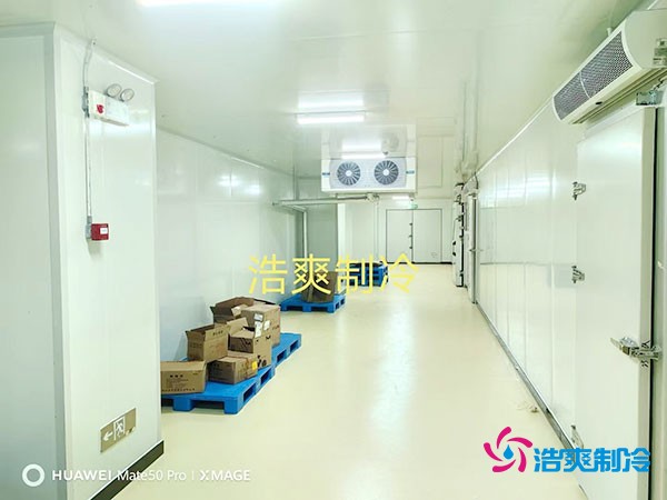 建造一個小型紅酒冷庫的大致造價費用多少錢？