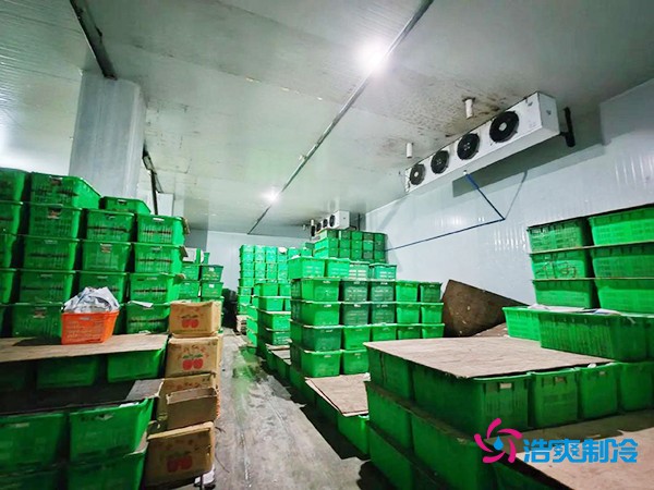水果保鮮冷庫建造價格每平米多少錢？