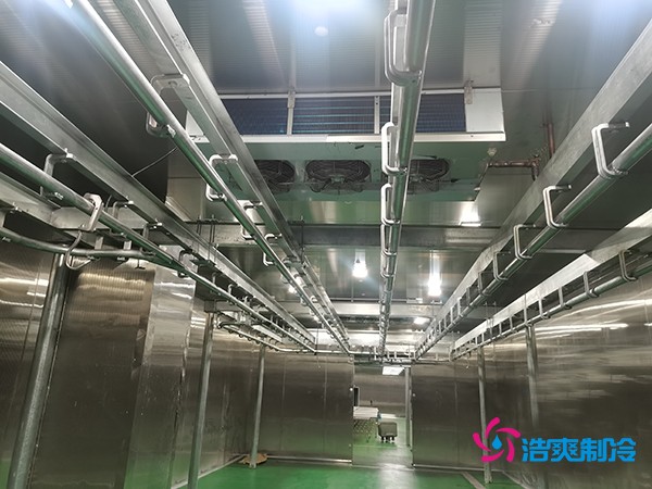 肉類冷庫建造費(fèi)用及設(shè)計解析