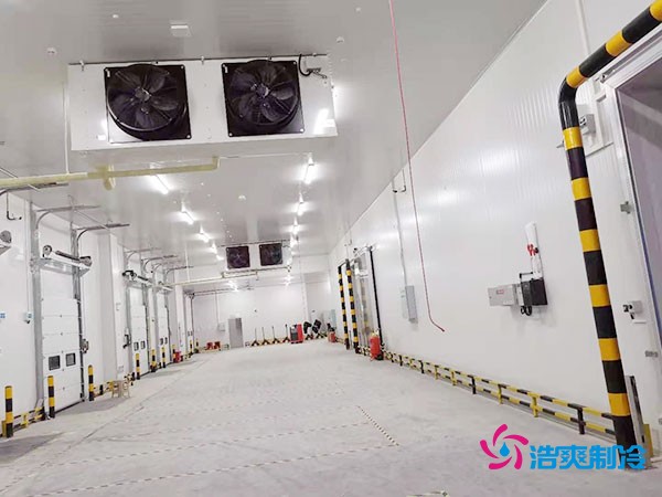 建設(shè)冷凍庫每平米造價(jià)多少錢?冷凍庫造價(jià)關(guān)鍵因素解析