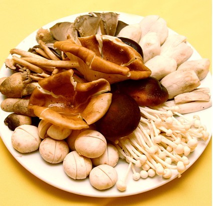 香菇保鮮庫(kù)