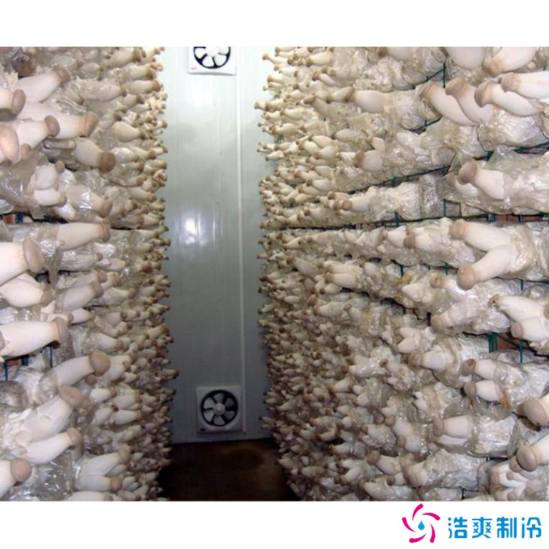 蘑菇冷庫建造成本多少錢，蘑菇冷藏方法哪些