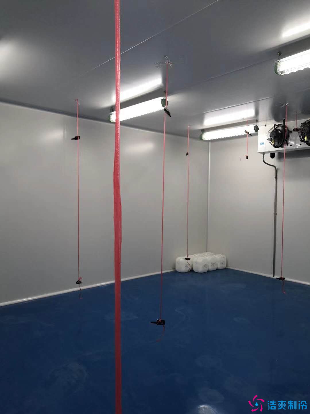 1800平米食品冷凍庫設計安裝,冷庫報價表