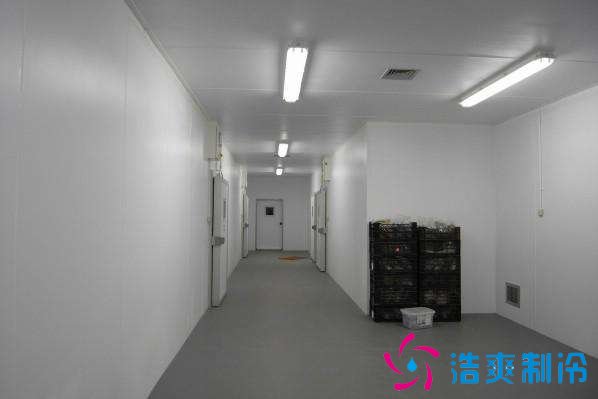 預(yù)建1000噸果蔬冷庫設(shè)計(jì)規(guī)劃,冷庫價(jià)格多少錢