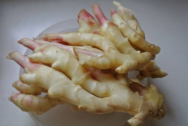 3000噸鮮姜冷庫前期規劃，冷庫造價預算多少