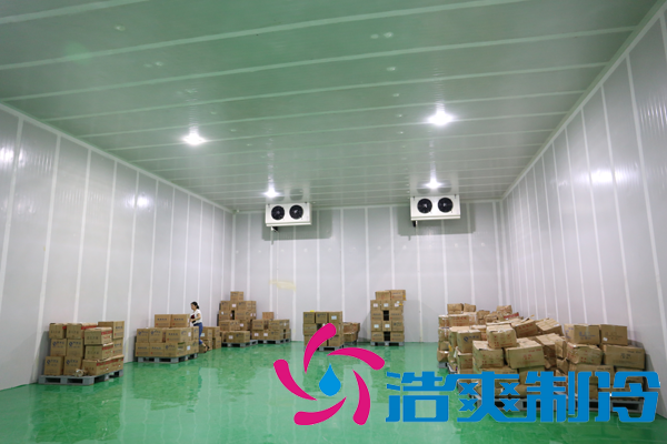 上海藥廠建造-20℃醫藥血漿冷庫,超低溫血漿冷庫定制預算多少