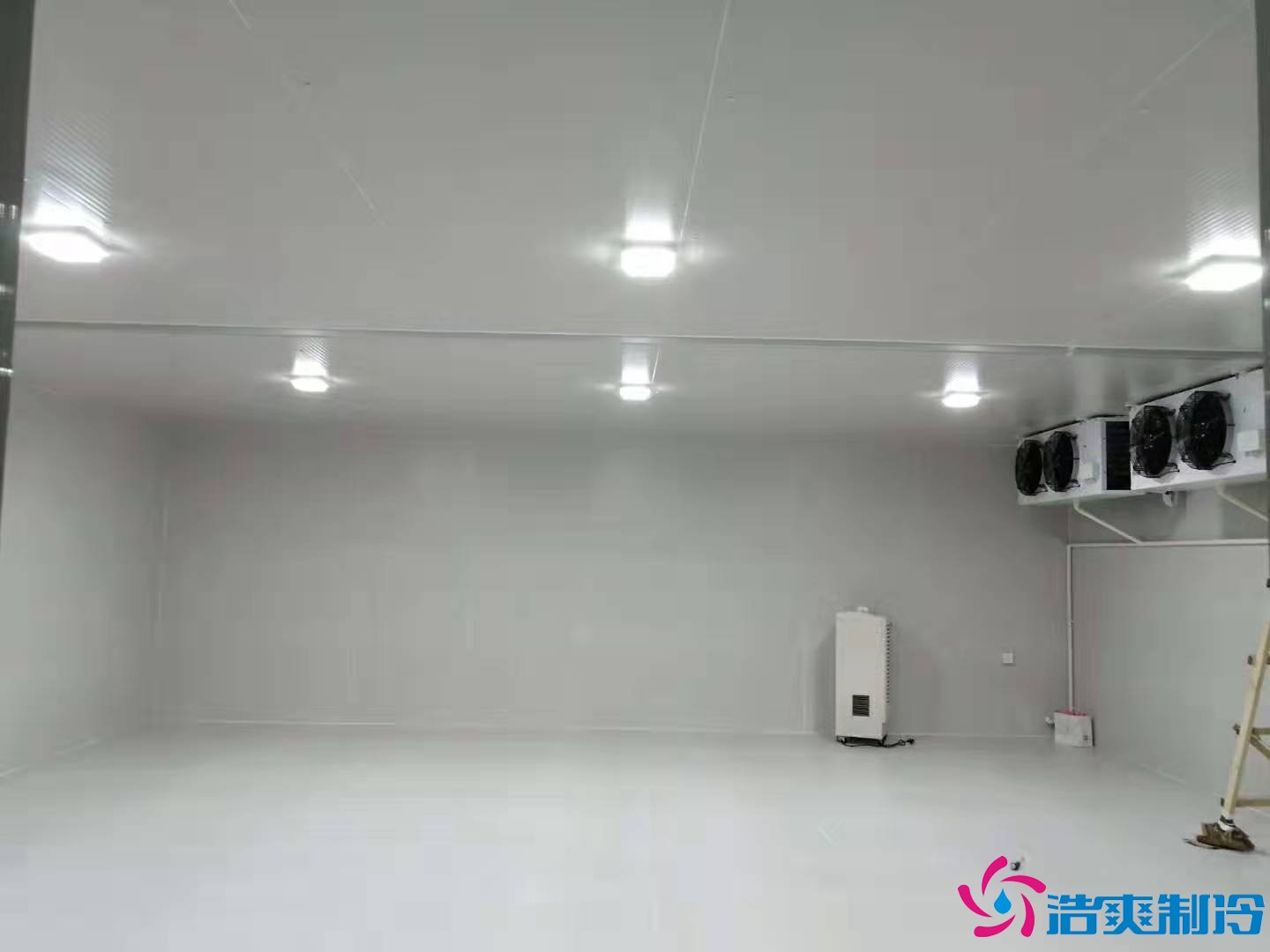 上?；蛏?000m3生物制品冷庫（冷凍、冷藏）新建工程案例