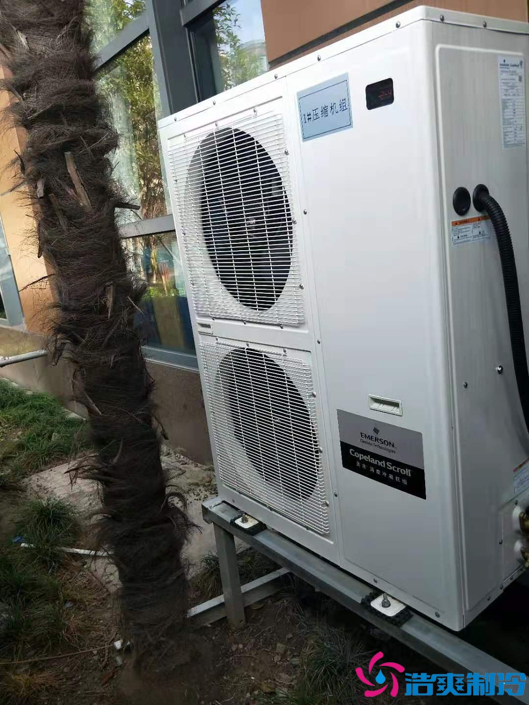 上海基因生物1000m3生物制品冷庫（冷凍、冷藏）新建工程案例