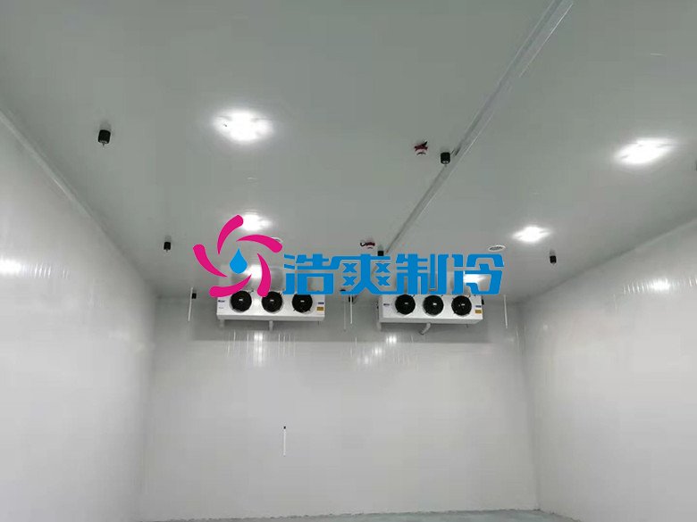 浩爽制冷,巧克力冷藏庫